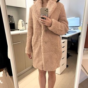 Aritzia Teddy Bear Coat